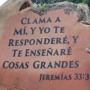 Meet your Posher, Rosie